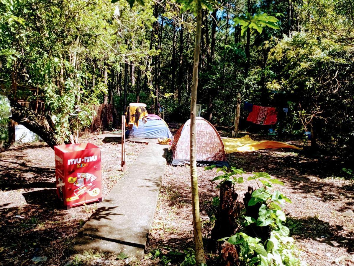 Camping Novas Palmeiras Florianópolis Buitenkant foto